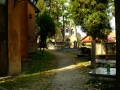 27-DSCF7158-001