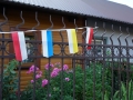 010-DSC00244.JPG