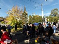 KODAK Digital Still Camera