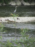 2024-05-11-studzienka 014