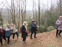 2025-03-29-Pielgrzymka-Szczyrzyc-Pasierbiec-Limanowa 003