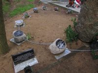 2025-05-28-Pielgrzymka-Swinice-Warckie-Glogowiec-Torun-Swieta-Lipka-Gietrzwald 023