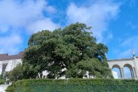 2026-06-24-30-Pielgrzymka-Fatima-i-Sanktuaria-Portugalii 027