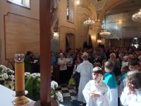 35b80377-3a6a-44c9-bba0-ffc18dfffb38