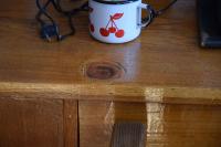 Przyjecie-relikwii-Bialystok-16.09.2024 076